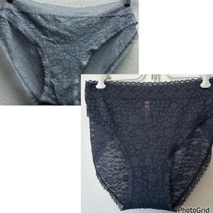 2 Pair ThirdLove Grey Lace Bikini Panty 3X